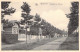 BELGIQUE - WAREMME - Boulevard Des Platanes - Carte Postale Ancienne - Andere & Zonder Classificatie