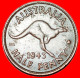 * MELBOURNE (1939-1948): AUSTRALIA  1/2 PENNY 1943! KANGAROO RIGHT! GEORGE VI (1937-1952)· LOW START! · NO RESERVE!!! - ½ Penny