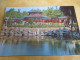 Delcampe - 10 Cartes Postales Anciennes/ Bei Jing/ PEKIN/ République Populaire De Chine / Vers 1980     JAP51 - Chine