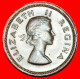 ~ BIRDS (1953-1960): SOUTH AFRICA  1/4 PENNY 1959! ELIZABETH II (1953-2022) · LOW START! · NO RESERVE!!! - Sudáfrica