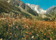 Switzerland Champex Val D'Arpettaz Avec Le Pointe D'Orny & Les Ecandies - Orny