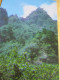 Delcampe - 10 Cartes Postales Anciennes/The WUDANG Mountain/ Quin Ling/ République Populaire De Chine / 1981      JAP55 - China