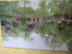 12 Cartes Postales Anciennes/SUZHOU Gardens/JIANSOU /  République Populaire De Chine / 1982    JAP58 - Chine