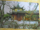 Delcampe - 12 Cartes Postales Anciennes/SUZHOU Gardens/JIANSOU /  République Populaire De Chine / 1982    JAP58 - Chine