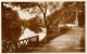 River Ayr Walk, Ayr 1929  Valentine 200398 - Ayrshire