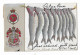 Postcard, Greetings From The Isle Of Man, Fish, Coat Of Arms, 1906. - Isla De Man