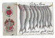 Postcard, Greetings From The Isle Of Man, Fish, Coat Of Arms, 1906. - Isle Of Man