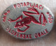 Scuba Diving Club Potapljaci Slovenske Obale Underwater Diving Frog Slovenia Pins - Schwimmen