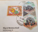 INDIA,2011,RETURN TO SENDER LABEL,AIR MAIL COVER TO SWITZERLAND,3 STAMPS,TORTOISE,ASTROLOGICAL SIGNS, GUWAHATI - Briefe U. Dokumente