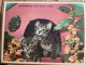 CALENDRIER ALMANACH DES POSTES  1961 / CHAT / CHIEN - Grossformat : 1961-70