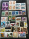 LOT  De  1000   TIMBRES De   DIVERS PAYS   ... Sur Les PLAQUETTES Les TIMBRES Sont NEUFS** - Vrac (min 1000 Timbres)