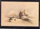 CPM Reproduction - SIDE VIEW OF THE GREAT SPHINX - Lithograph By David Roberts - Sphinx