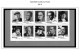 Delcampe - US 2011-2015 PLATE BLOCKS STAMP ALBUM PAGES (56 B&w Illustrated Pages) - Engels