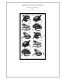 Delcampe - US 2000-2005 PLATE BLOCKS STAMP ALBUM PAGES (68 B&w Illustrated Pages) - Engels