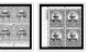 Delcampe - US 1901-1929 PLATE BLOCKS STAMP ALBUM PAGES (46 B&w Illustrated Pages) - Englisch