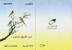 EGYPT / 2014 / BIRDS / PALM-DOVE / HOOPOE / ROLLER / BEE-EATER / SOOTY FALCON / GOLDEN ORIOLE / FD CANC. - Covers & Documents