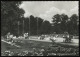 (B3143) AK Neumünster In Schleswig-Holstein, Wasserspiele Klosterinsel - Neumuenster