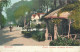 Gibraltar Rustic Arbour Alameda Gardens J. FERRARY Photochrome Postcard - Gibraltar