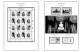 Delcampe - UNITED NATIONS - NEW YORK 1951-2020 STAMP ALBUM PAGES (229 B&w Illustrated Pages) - Inglés