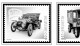 Delcampe - SWITZERLAND 1843-2010 + 2011-2020 STAMP ALBUM PAGES (277 B&w Illustrated Pages) - English