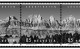 Delcampe - SWITZERLAND 1843-2010 + 2011-2020 STAMP ALBUM PAGES (277 B&w Illustrated Pages) - Inglés