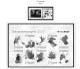 Delcampe - NETHERLANDS 1852-2010 + 2011-2020 STAMP ALBUM PAGES (474 B&w Illustrated Pages) - Inglés