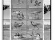 Delcampe - NETHERLANDS 1852-2010 + 2011-2020 STAMP ALBUM PAGES (474 B&w Illustrated Pages) - Engels