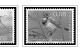 Delcampe - LUXEMBOURG 1852-2010 + 2011-2020 STAMP ALBUM PAGES (244 B&w Illustrated Pages) - Anglais