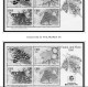 Delcampe - IRELAND 1922-2010 + 2011-2020 STAMP ALBUM PAGES (336 B&w Illustrated Pages) - Engels