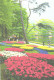 Netherlands:Holland:Lisse, Botanical Garden, Flowers - Lisse