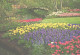 Netherlands:Holland:Lisse, Botanical Garden, Flowers - Lisse