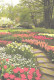 Netherlands:Holland:Lisse, Botanical Garden, Flowers - Lisse