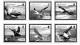 Delcampe - GB ALDERNEY 1983-2010 + 2011-2020 STAMP ALBUM PAGES (89 B&w Illustrated Pages) - Anglais