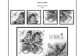 Delcampe - HONG KONG [SAR] 1998-2010 + 2011-2020 STAMP ALBUM PAGES (309 B&w Illustrated Pages) - Inglés