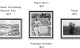 Delcampe - FINLAND 1856-2010 STAMP ALBUM PAGES (218 B&w Illustrated Pages) - Inglese