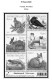 Delcampe - FINLAND 1856-2010 STAMP ALBUM PAGES (218 B&w Illustrated Pages) - Inglese