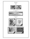 Delcampe - DENMARK 1851-2010 STAMP ALBUM PAGES (186 B&w Illustrated Pages) - English