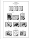 Delcampe - ANDORRA [FR. + SP.] 1875-2020 STAMP ALBUM PAGES (166 B&w Illustrated Pages) - Engels