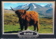 Scotland Bull, 1992 Postcard - Taureaux