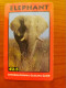Germany - IDT - Elephant - Other & Unclassified