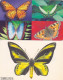 Germany 2 Phonecards Chip - - - Butterfly K 390/93, KD 03/02 - Vlinders