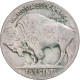 Monnaie, États-Unis, 5 Cents, 1928, U.S. Mint, B, Du Cupronickel - 1913-1938: Buffalo