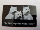 NETHERLANDS  4 UNITS /  DOGS/ WHITE TERRIER  / RCZ 793  MINT  ** 13078** - Schede GSM, Prepagate E Ricariche