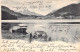 SUISSE - Am St Moritzersee - 6555 - Bateau - Carte Postale Ancienne - Saint-Moritz