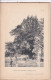Boisney (Eure 27) IFS Du Cimetière - 2 Planches Anciennes Sortie D'un Livre - Photographié Le 11 Mai 1893 - Andere Pläne