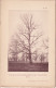 Aunay-les-Bois (Orne 61) Chênes Du Parc D'Aunay-les-Bois - 2 Planches - Photographié Le 23 Avril 1895 - Andere Plannen