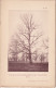 Aunay-les-Bois (Orne 61) Chênes Du Parc D'Aunay-les-Bois - 2 Planches - Photographié Le 23 Avril 1895 - Otros Planes