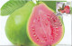 India 2023 GI Geological Indications: Agricultural Goods - ALLAHABAD SURKHA GUAVA, Special FDC Kanpur Cancelled As Scan - Agriculture