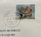 ICELAND 1990, MAP, GLOBE ILLUSTRATE, COVER USED TO USA VIGNETTE X CROSS LABEL, DUCK IN WATER STAMP, REYKJAVIK CITY CANCE - Cartas & Documentos