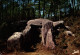 N°103203 -cpsm Carnac -dolmen Du Mané Croch- - Douane
